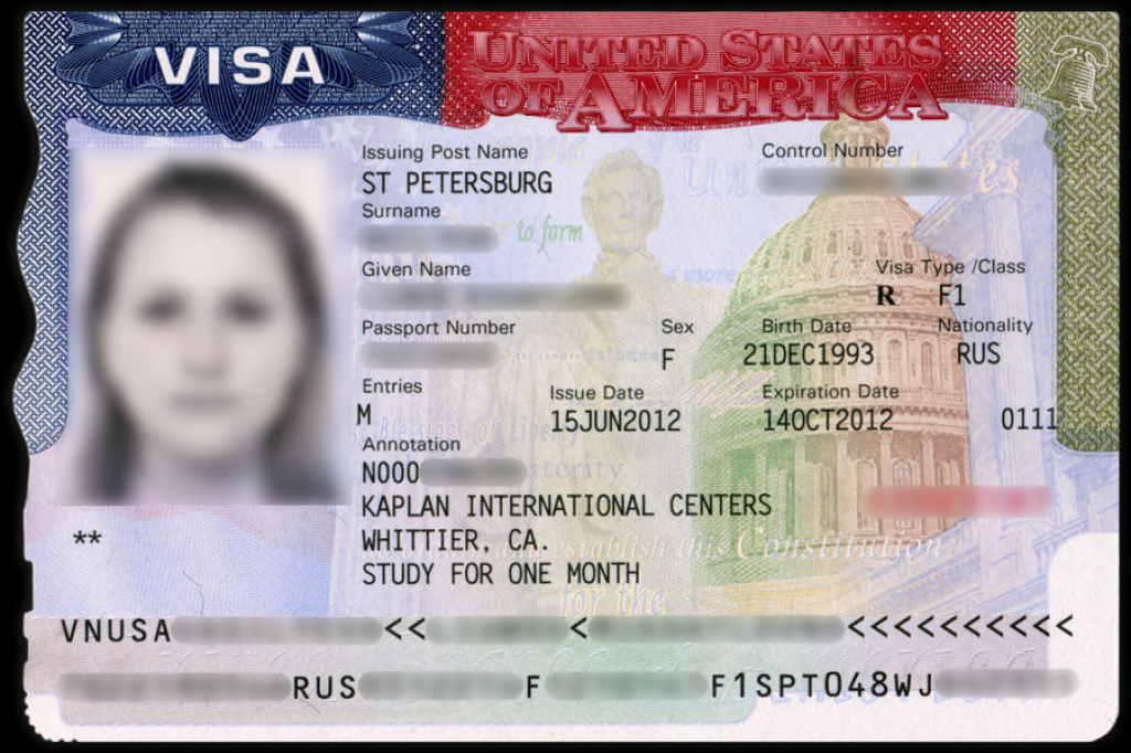 Obtenir un visa rapidement en ligne - Syntax Consulting